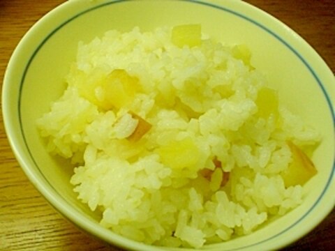 塩りんご飯